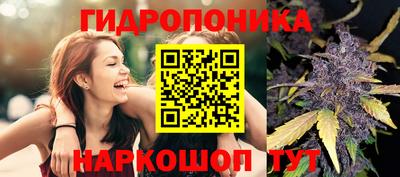 метамфетамин Новозыбков