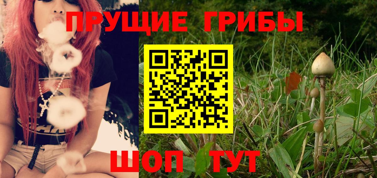 Северодвинск  где можно купить   Вход с VPN  Галлюциногенные грибы GOLDEN TEACHER 