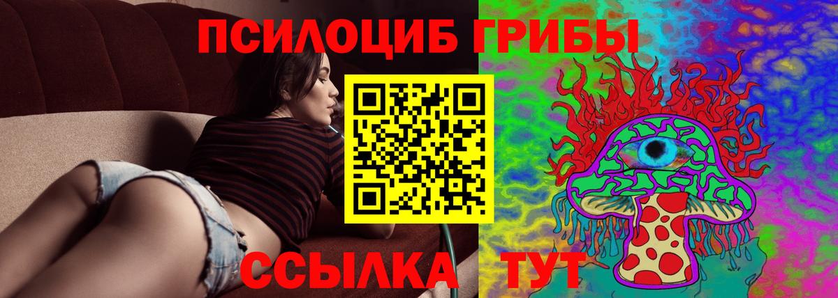 Псилоцибиновые грибы GOLDEN TEACHER Северодвинск